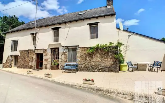 Individual house for sale, 10 rooms, 227 m² – 35190