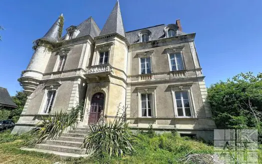 Castle for sale, 13 rooms, 426 m² – 53540